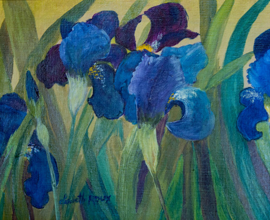 Galerie